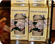 Island Gardenia